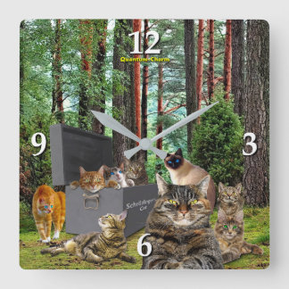 Quadrado Relógio de Gato de Schrodinger