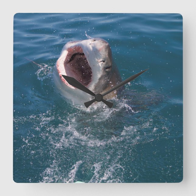 Quadrado Relógio de Tubarão Branco do excelente (Frente)