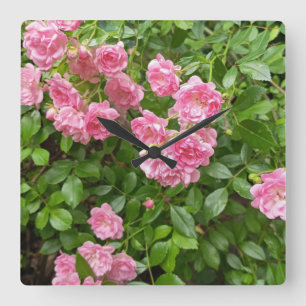 Quadrado Relógio Floral Jardim de Rosas Rosa