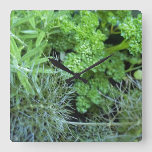 Quadrado Relógio Herb (Frente)