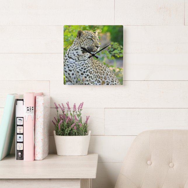 Quadrado Relógio leopardo  (Sala de leitura)