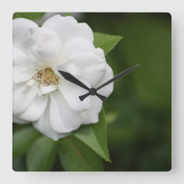 Quadrado Relógio Rosa Branco