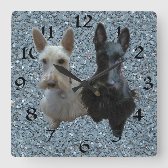 Quadrado Relógio Scottish Terrier (Frente)