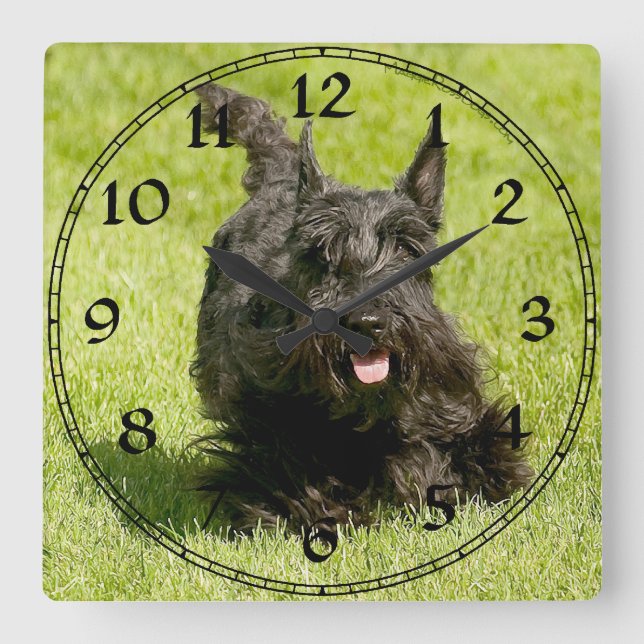 Quadrado Relógio Terrier escocês (Frente)