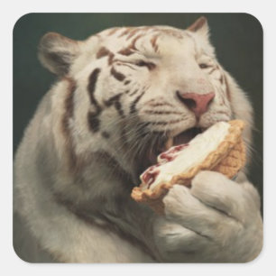Quadrado Tigre Branco Amante de Torta – Adesivo Divertido