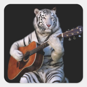 Quadrado Tigre no Escuro – Adesivo Minimalista
