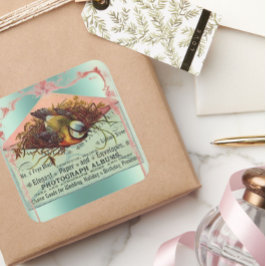 Quadrado Vintage nesting pássaro adesivo