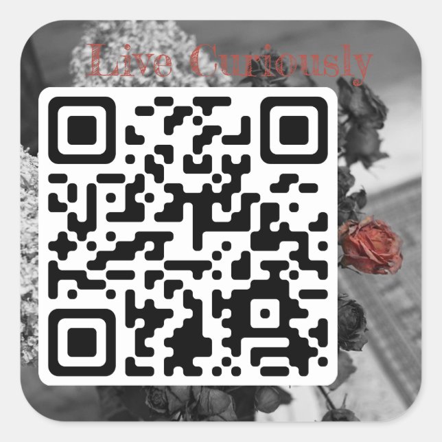 Quadrado viva curiosamente adesivo (Frente)