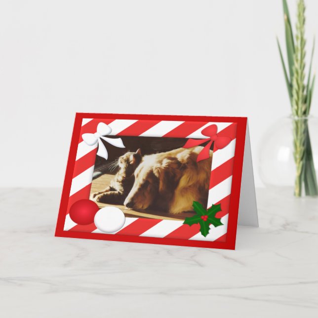Quadro de Cartão de Natal para Retriever de ouro (Frente)