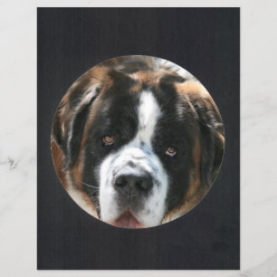 Quadro de Fotografia em Círculo Negro  