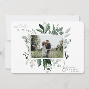 Quadro de Fotografia Verde de Folha Botânica Salva