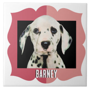 Quadro de fotos de padrão personalizado da Dalmáci