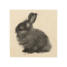 8" x 8" retrato de um coelho preto de Lionhead