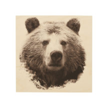 8" x 8" urso de urso grande de Ol Brown