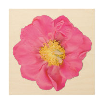 Arte de Parede em Madeira Botânica Peônia Rosa