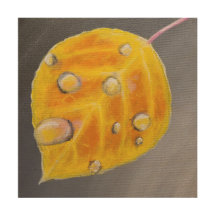 Aspen Folha com Gotas de Água