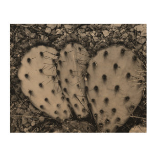 Quadro De Madeira Cactus Sepia Portrait