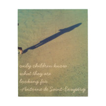 Citações do Pequeno Príncipe/Pequeno Príncipe