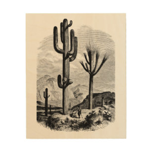 Quadro De Madeira Deserto Paisagem Cactus Vintage Ink art Drake 