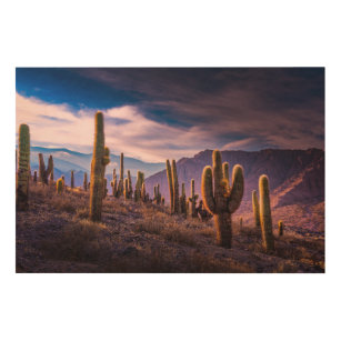 Quadro De Madeira Desertos   Paisagem Cactus Argentina