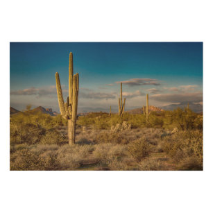 Quadro De Madeira Desertos   Superstições, Arizona