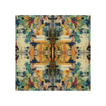 espírito espelhado. Dimensões