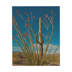 Quadro De Madeira EUA, Arizona. Parque Nacional De Cactus Em Saguaro
