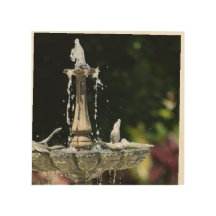 Fonte de água em Hollis Gardens