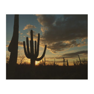 Quadro De Madeira Paisagem do Deserto de Arizona Saguaro Sunset II