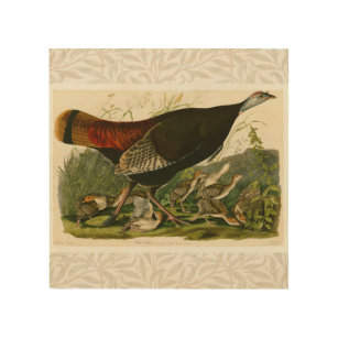 Quadro De Madeira Pintura de pássaros Selvagens de Audubon na Turqui