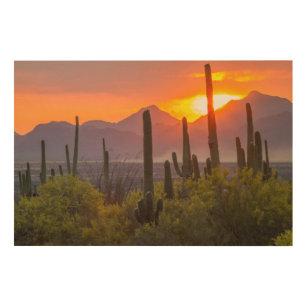 Quadro De Madeira pôr do sol do cacto do deserto, Arizona