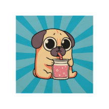 Pug Gato