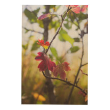 Romantic Trees & Flowers – Botanical Fantasy Boho