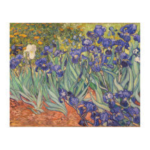 Vincent Van Gogh Irises Floral Vintage Fine Art