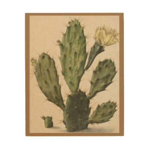 Quadro De Madeira Vintage Pickly Pear Cactus em Bloom