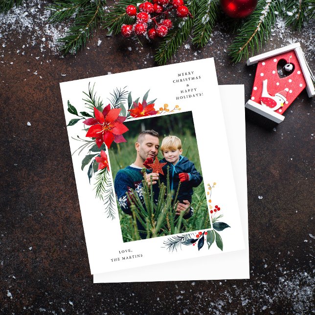 Quadro de Poinsettia de Orçamento V Feriado de Fot (Criador carregado)