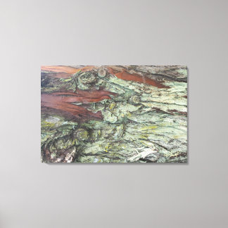 QUADRO EM TELA CANVAS NATUREZA BRASIL