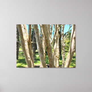 QUADRO EM TELA CANVAS NATUREZA BRASIL