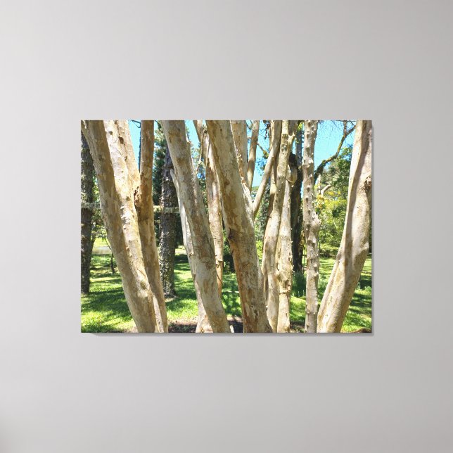 QUADRO EM TELA CANVAS NATUREZA BRASIL (Frente)