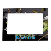 Coreia Cherry Blossoms White