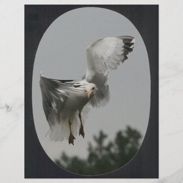 Quadro Oval Grande (preto) (Frente)