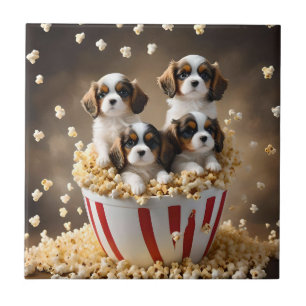 Quads Cavalier Spaniel Puppies Na Pipoca,