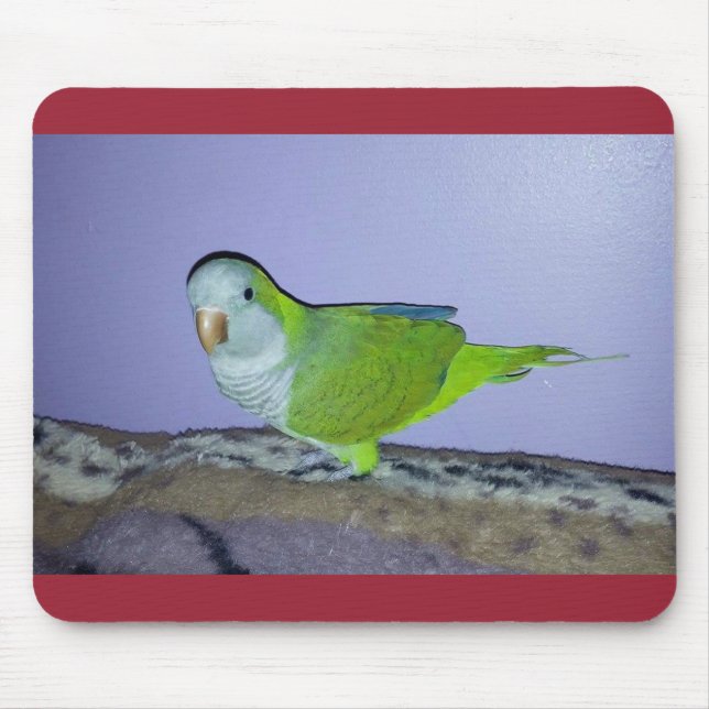 Quaker Parrot Mousepad (Frente)