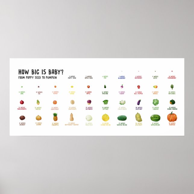Qual é o tamanho do bebê? Fruta de poster de taman (Frente)