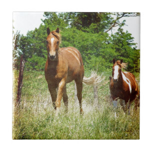 Quando Chamado, Dois Cavalos