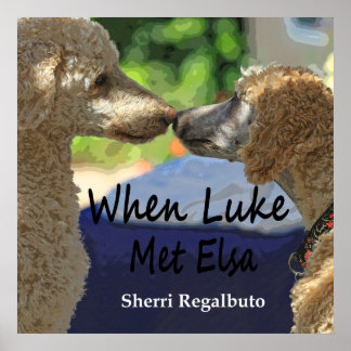 Quando Luke Conheceu Elsa Poster