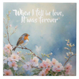 "Quando me apaixonei, foi para sempre" Robin