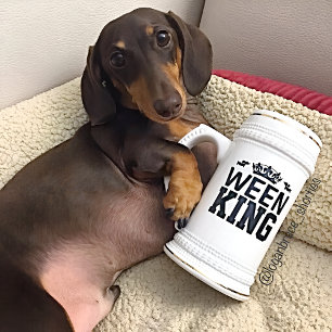 Quando o Rei Dachshund Caneca de cerveja Mug - Dia
