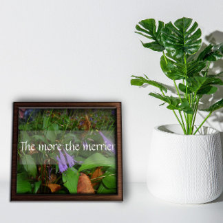 Quanto mais a sabedoria mais feliz diz poster