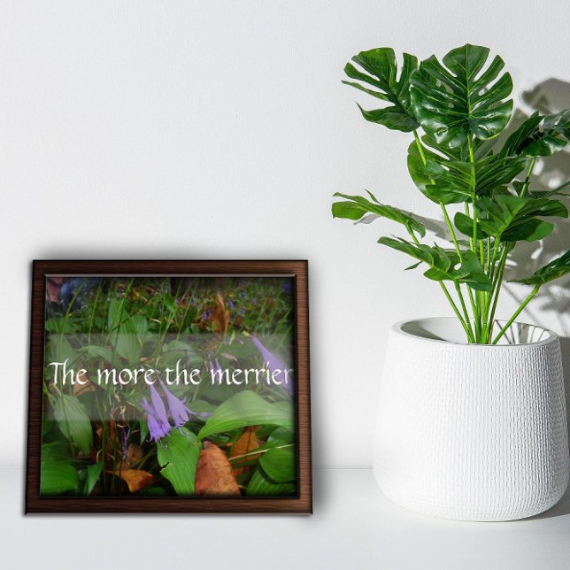 Quanto mais a sabedoria mais feliz diz poster (Criador carregado)